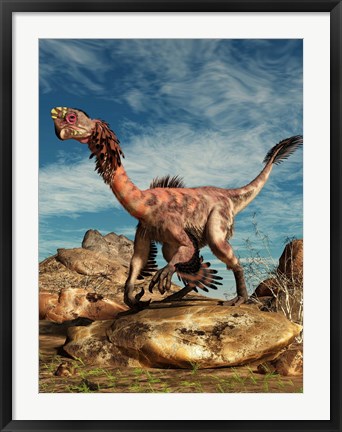 Framed Citipati on a rock in an arid landscape Print