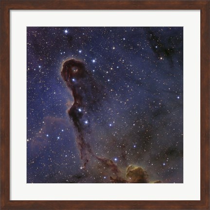 Framed Elephant&#39;s Trunk Nebula in the star cluster IC 1396 Print