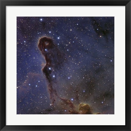 Framed Elephant&#39;s Trunk Nebula in the star cluster IC 1396 Print