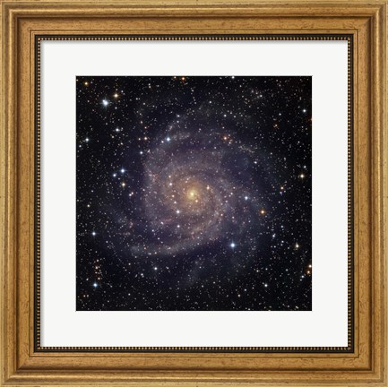 Framed IC 342, an intermediate spiral galaxy in the constellation Camelopardalis Print