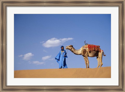 Framed Man leading camel on sand dunes, Tinfou (near Zagora), Morocco, Africa Print