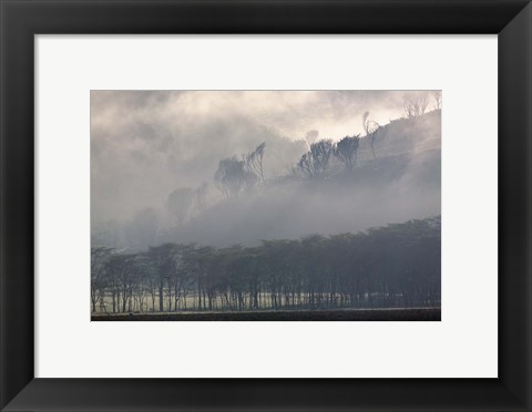 Framed Mist rising from escarpment, Lake Nakuru National Park, Kenya Print