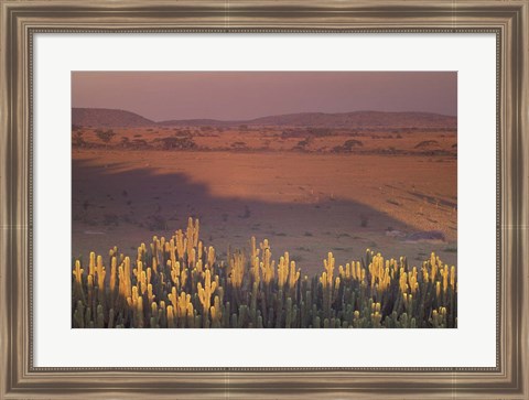 Framed Landscape View, Serengeti National Park, Tanzania Print