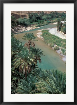 Framed Lush Palms Line the Banks of the Oued (River) Ziz, Morocco Print