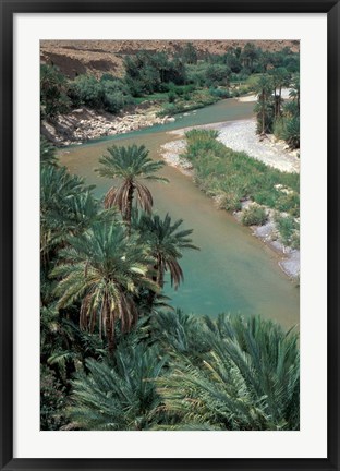 Framed Lush Palms Line the Banks of the Oued (River) Ziz, Morocco Print