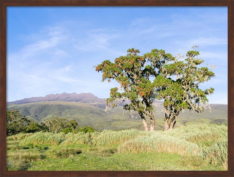 Framed Mount Kenya NP, Site in the highlands of central Kenya, Africa. UNESCO Print