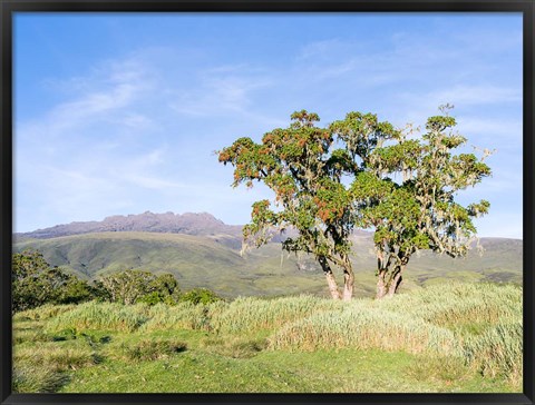 Framed Mount Kenya NP, Site in the highlands of central Kenya, Africa. UNESCO Print