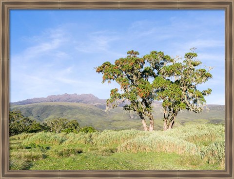 Framed Mount Kenya NP, Site in the highlands of central Kenya, Africa. UNESCO Print