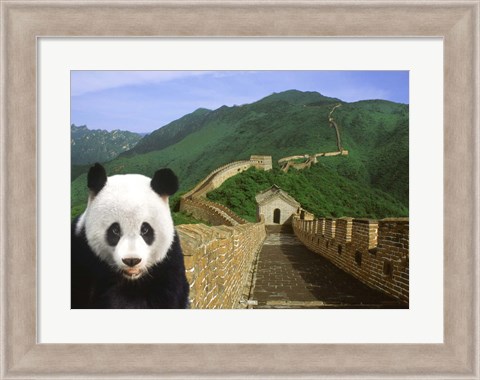 Framed Panda at the Great Wall of China Print