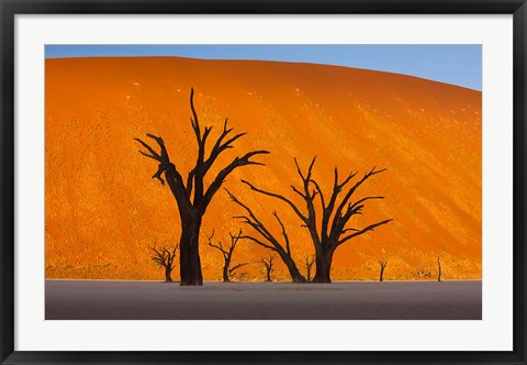 Framed Namib-Naukluft National Park, Namibia Print