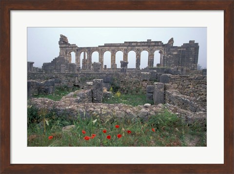 Framed Red Poppies near Basilica in Ancient Roman City, Morocco Print