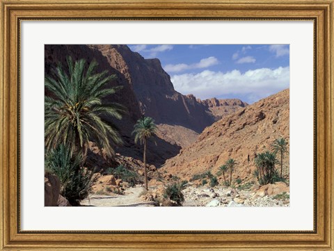 Framed Palm Trees and Creekbed Below Limestone Cliffs, Morocco Print