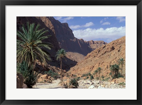 Framed Palm Trees and Creekbed Below Limestone Cliffs, Morocco Print