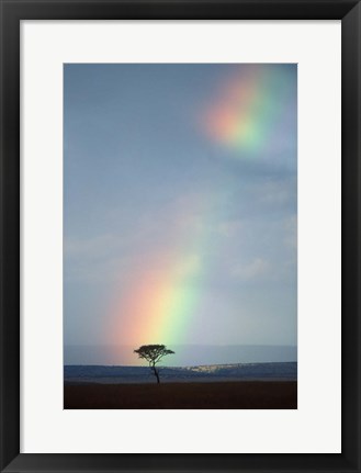 Framed Rainbow Forms Amid Rain Clouds, Masai Mara Game Reserve, Kenya Print