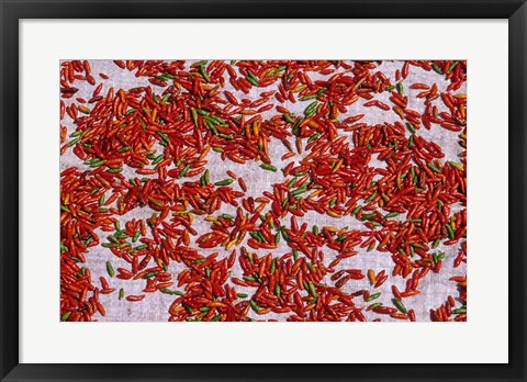 Framed Red Chili Drying in the Midday Sun, Madagascar Print