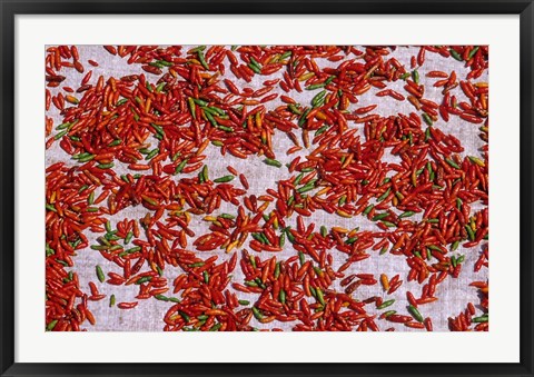 Framed Red Chili Drying in the Midday Sun, Madagascar Print