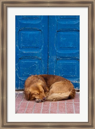 Framed Sleeping Dog, Essaouira, Morocco Print