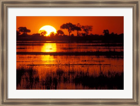 Framed Setting Sun over Lush Banks, Chobe National Park, Botswana Print