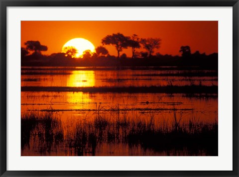 Framed Setting Sun over Lush Banks, Chobe National Park, Botswana Print