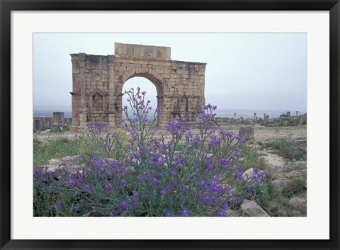 Framed Ruins of Triumphal Arch in Ancient Roman city, Morocco Print