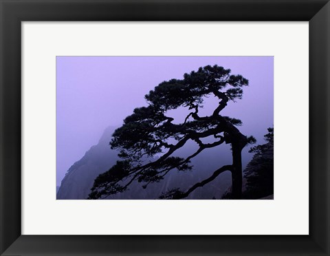 Framed Seeing Off Pine Tree on Mt Huangshan (Yellow Mountain), China Print