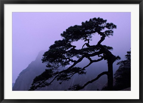 Framed Seeing Off Pine Tree on Mt Huangshan (Yellow Mountain), China Print