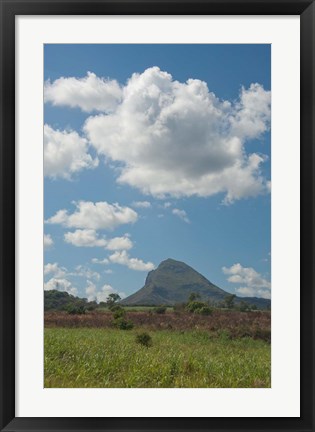 Framed Sugar Cane Fields, Mauritius Print