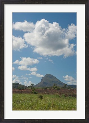 Framed Sugar Cane Fields, Mauritius Print