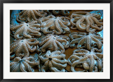 Framed Tanzania, Zanzibar, StoneTown, Darajani Market, Octopus Print