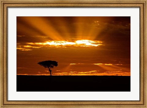 Framed Sunrise, Maasai Mara, Kenya Print