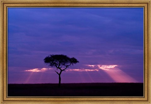 Framed Blue skies, Maasai Mara, Kenya Print