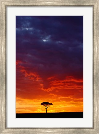 Framed Masai Mara Game Reserve, Kenya Print