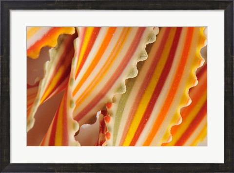 Framed USA. Close-up of dried rainbow pasta noodles Print