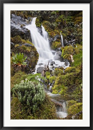 Framed Waterfall at Mount Stanley, Ruwenzori, Uganda Print