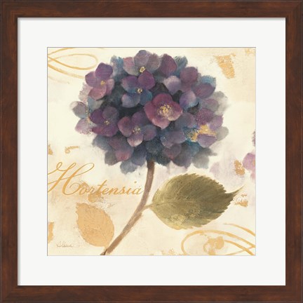 Framed Abundant Hydrangea II Print