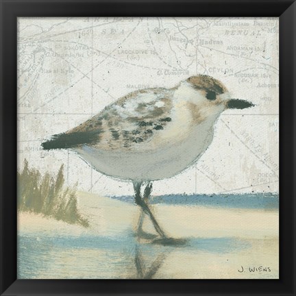 Framed Beach Bird I Print