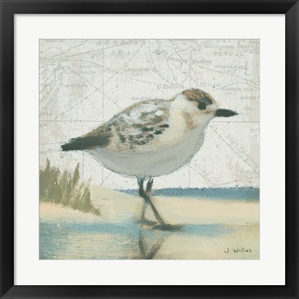 Framed Beach Bird I Print