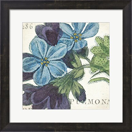 Framed Blue Floral Print