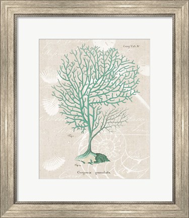 Framed Gorgonia Granulata on Linen Sea Foam Print