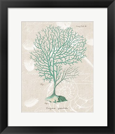 Framed Gorgonia Granulata on Linen Sea Foam Print