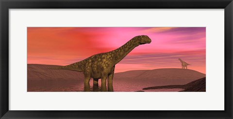 Framed Argentinosaurus dinosaurs amongst a colorful red sunset Print