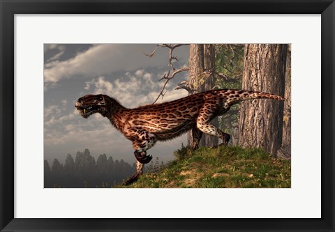 Framed leopard coated Lycaenops hunts among a forest Print