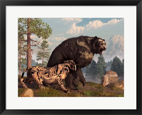 Framed saber-toothed cat tries to drive a short-faced bear out of its territory Print