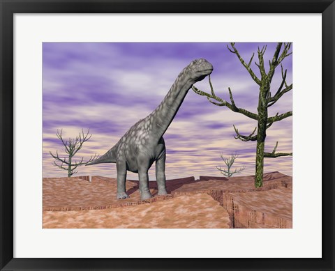Framed Argentinosaurus standing on the cracked desert ground next to dead trees Print