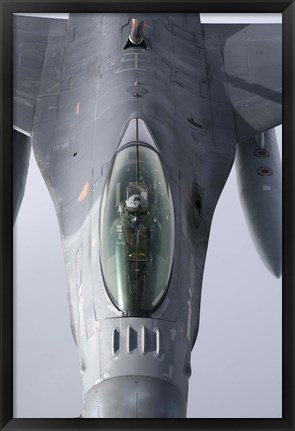 Framed F-16 Fighting Falcon of the Portugese Air Force Print