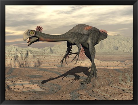 Framed Gigantoraptor dinosaur walking  on rocky terrain Print