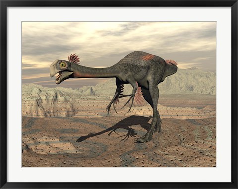 Framed Gigantoraptor dinosaur walking  on rocky terrain Print