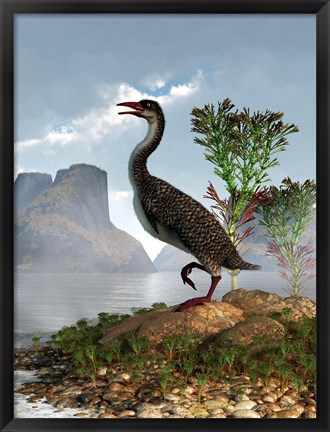 Framed Hesperornis on the shore of a lake looking around Print