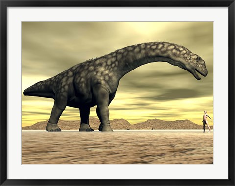 Framed Large Argentinosaurus dinosaur face to face with a human Print