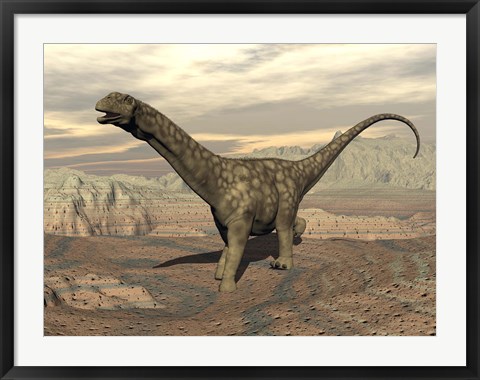 Framed Large Argentinosaurus dinosaur walking on rocky terrain Print